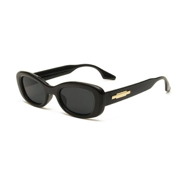 PC sunglasses 33153 C2