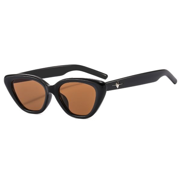 PC sunglasses 33160 C1