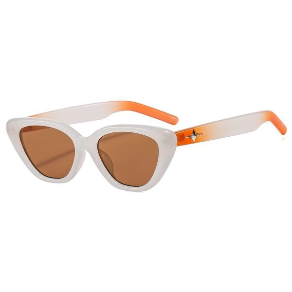 PC sunglasses 33160 C2