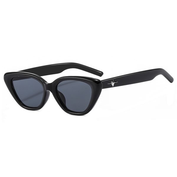 PC sunglasses 33160 C3