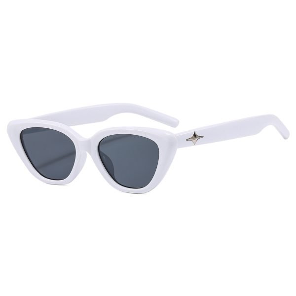 PC sunglasses 33160 C4