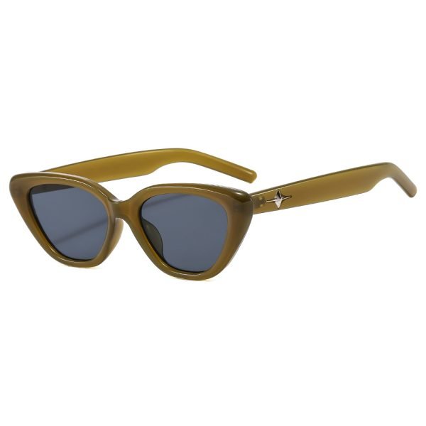 PC sunglasses 33160 C5