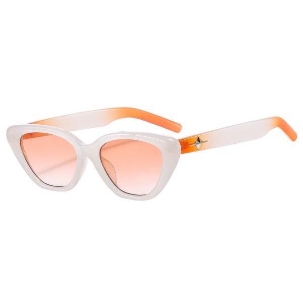 PC sunglasses 33160 C6