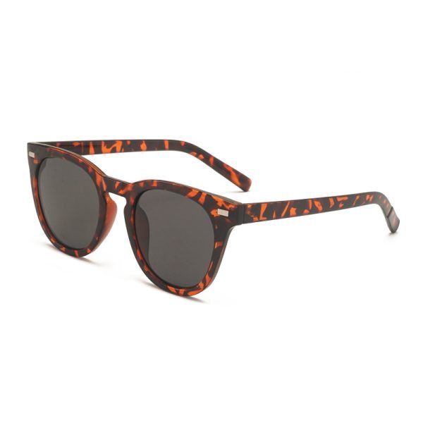 PC sunglasses 33161 C4
