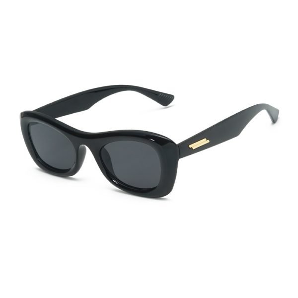 PC sunglasses 33162 C1