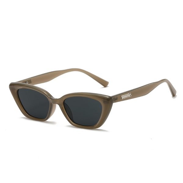 PC sunglasses 33163 C2