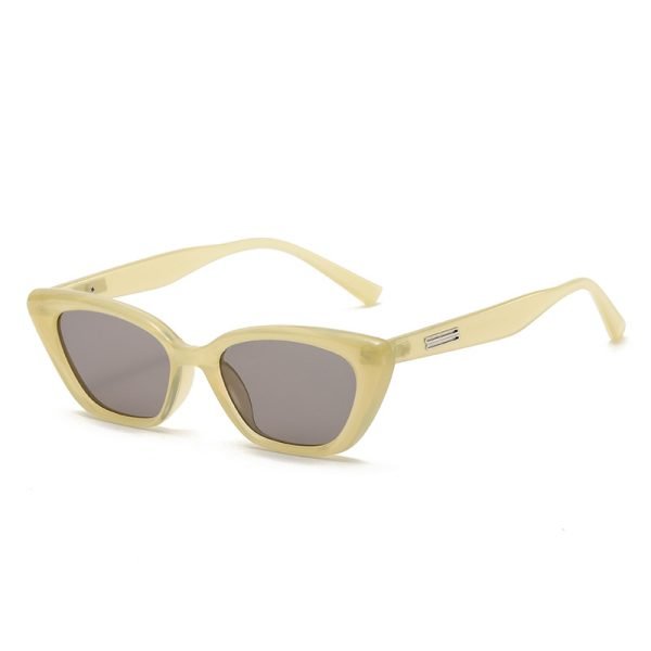 PC sunglasses 33163 C3
