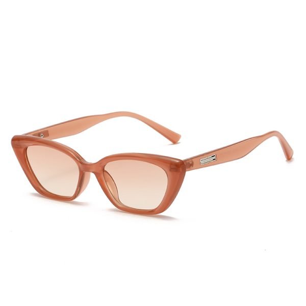 PC sunglasses 33163 C4