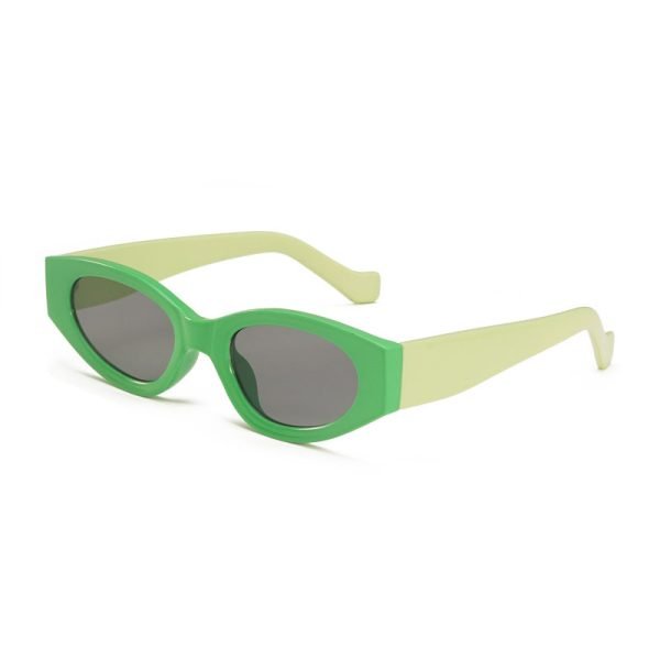 PC sunglasses 33166 C2