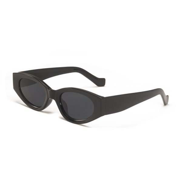 PC sunglasses 33166 C3