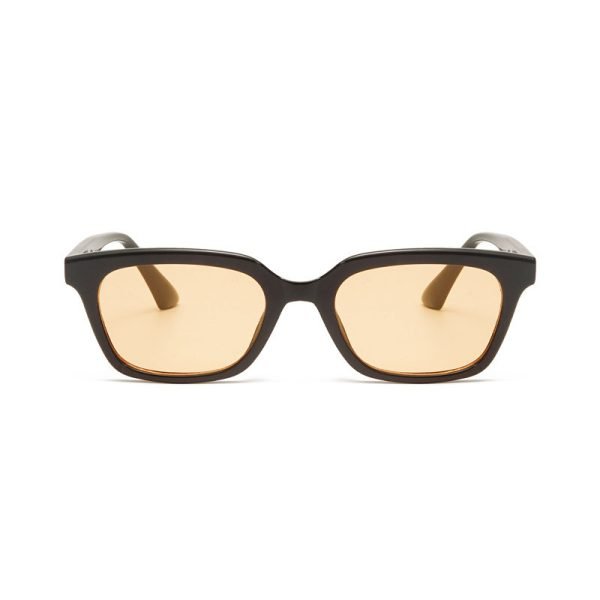 PC sunglasses 33170
