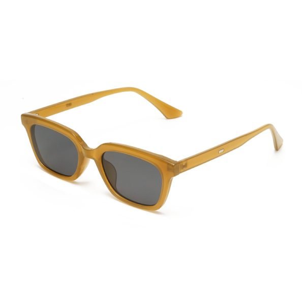 PC sunglasses 33170 C4