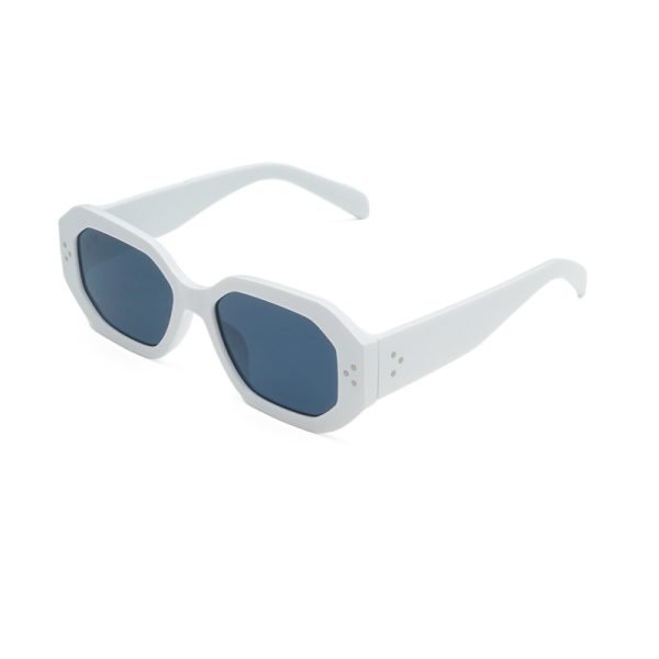 PC sunglasses 33174 C2