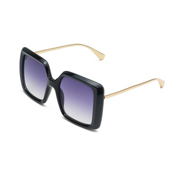 PC sunglasses 33175 C2 1
