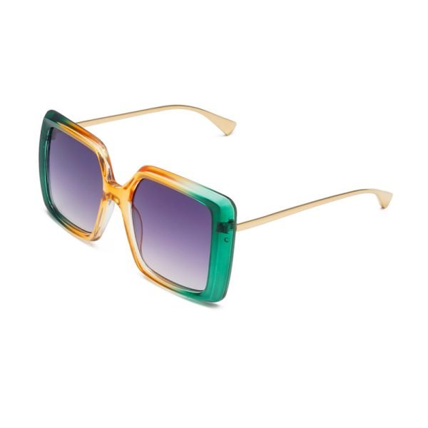 PC sunglasses 33175 C5 1