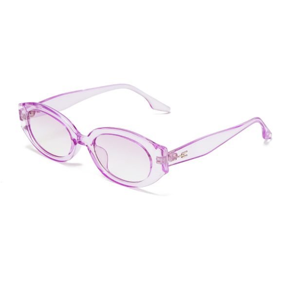 PC sunglasses 33177 C5