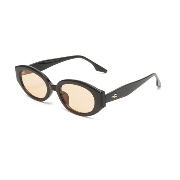 PC sunglasses 33177 C6