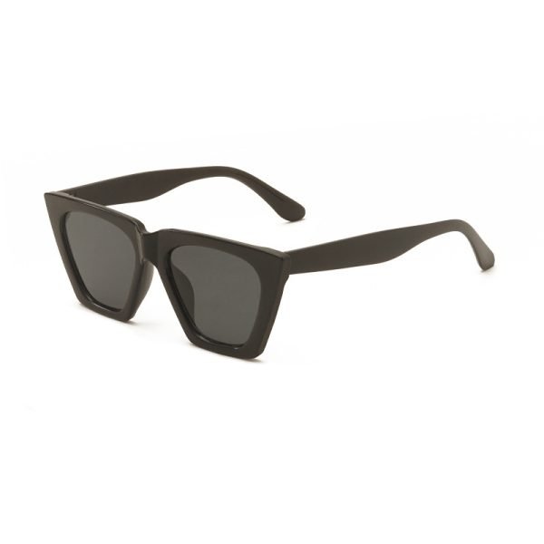 PC sunglasses 33182 C4