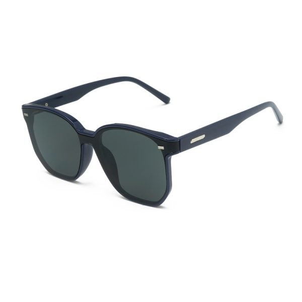 PC sunglasses 33188 C4
