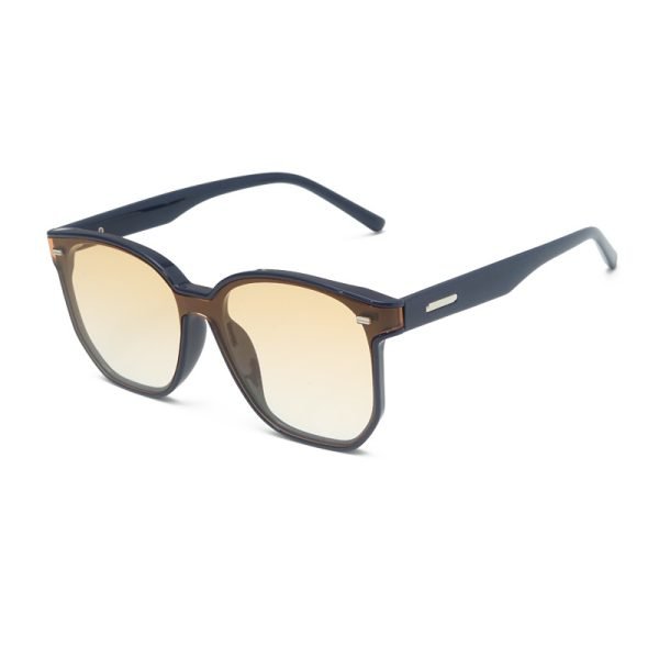 PC sunglasses 33188 C5