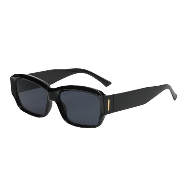 PC sunglasses 33193 C2