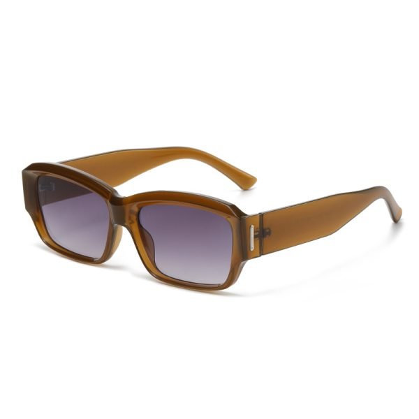 PC sunglasses 33193 C3