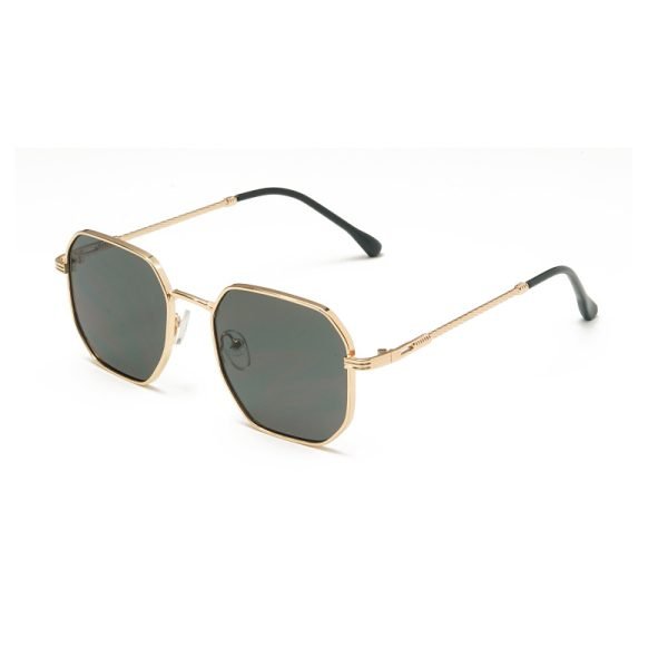 PC sunglasses 33201 C5