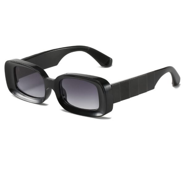PC sunglasses 33202 C2