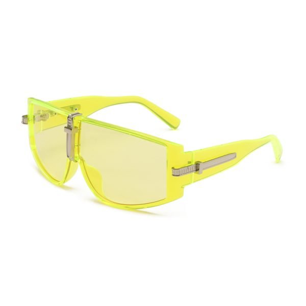 PC sunglasses 33207 C2