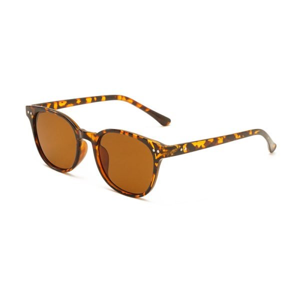 PC sunglasses 33219 C3