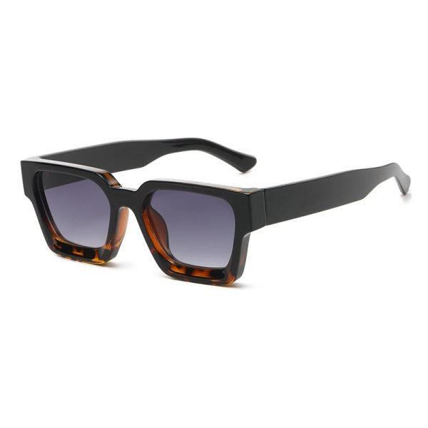 PC sunglasses 33221 C2