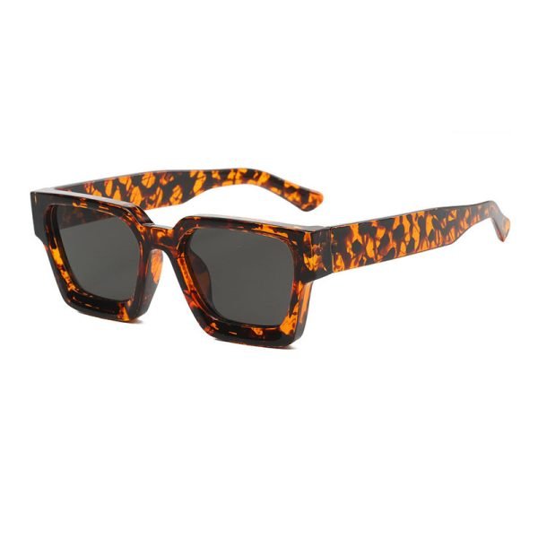 PC sunglasses 33221 C5