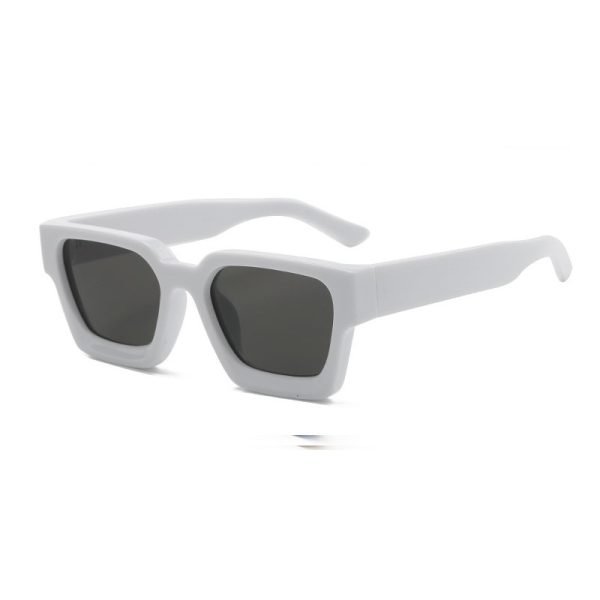PC sunglasses 33221 C6