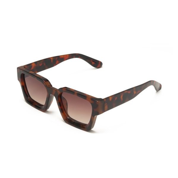 PC sunglasses 33221 C8