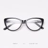 TR Optical glasses P8013
