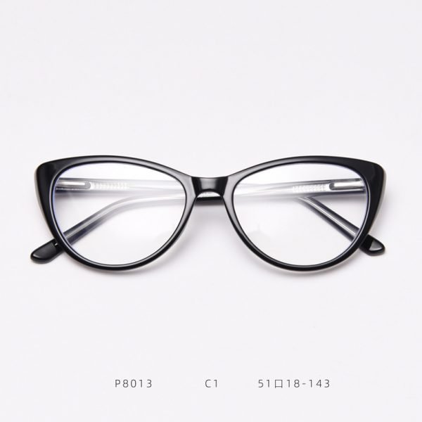 TR Optical glasses P8013