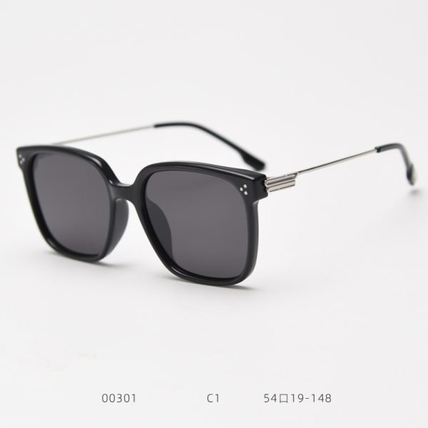 TR Sunglasses 00301 C1