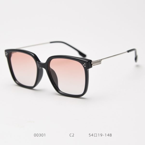 TR Sunglasses 00301 C2