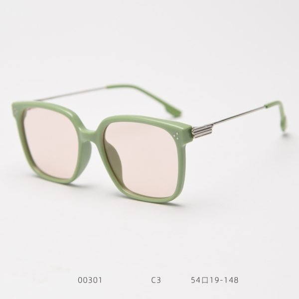 TR Sunglasses 00301 C3