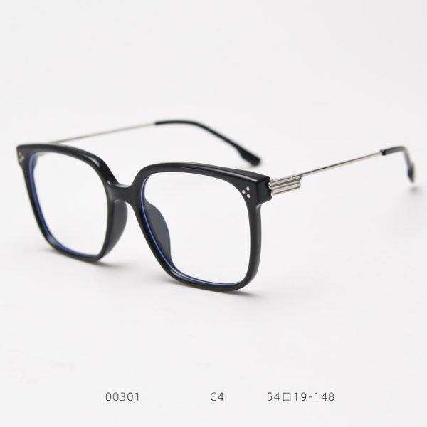 TR Sunglasses 00301 C4