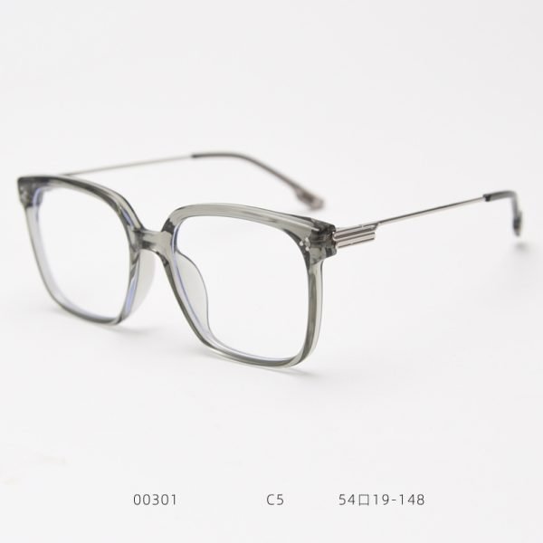 TR Sunglasses 00301 C5