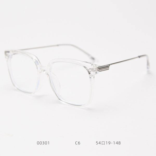 TR Sunglasses 00301 C6