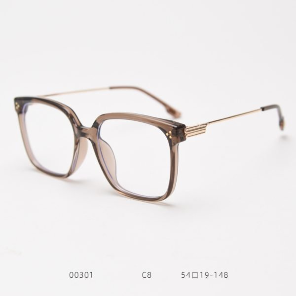TR Sunglasses 00301 C8