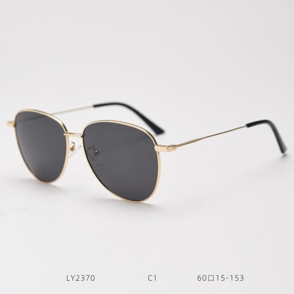 TR Sunglasses LY2370 C1