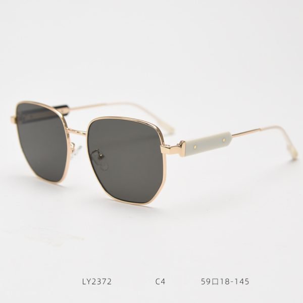 TR Sunglasses LY2372 C4
