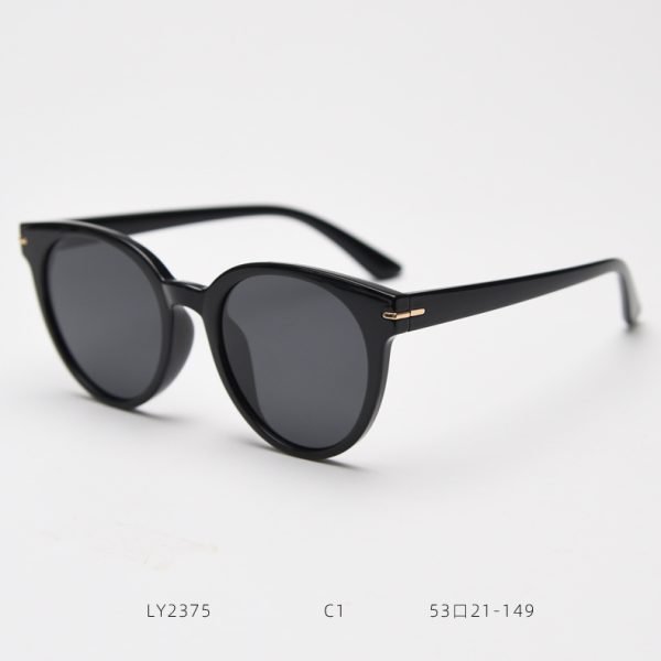TR Sunglasses LY2375 C1