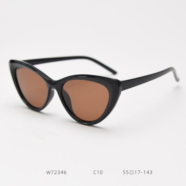 TR Sunglasses W72346 C10