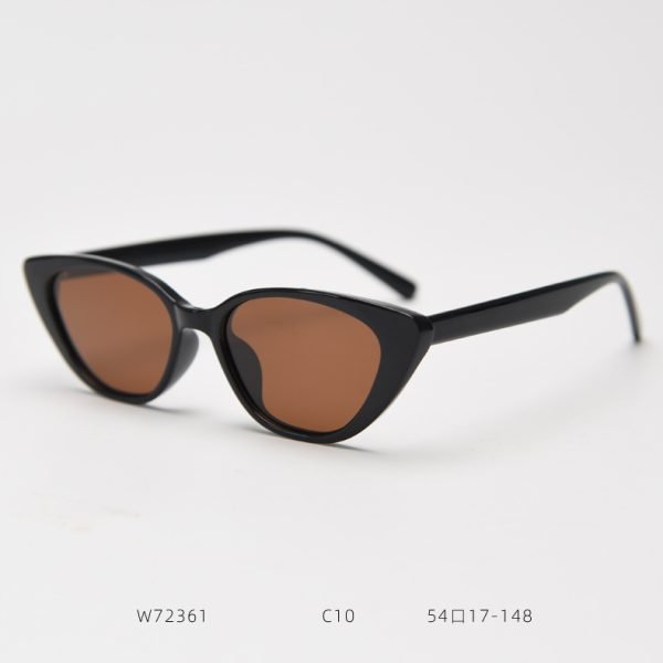 TR Sunglasses W72361 C10