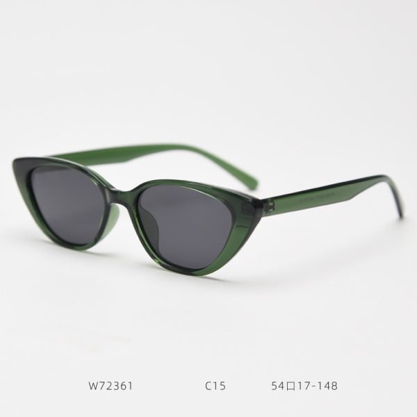 TR Sunglasses W72361 C15