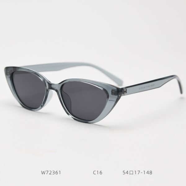 TR Sunglasses W72361 C16